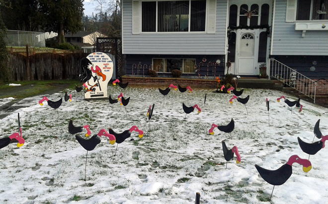 The Bickle Buzzard garden!