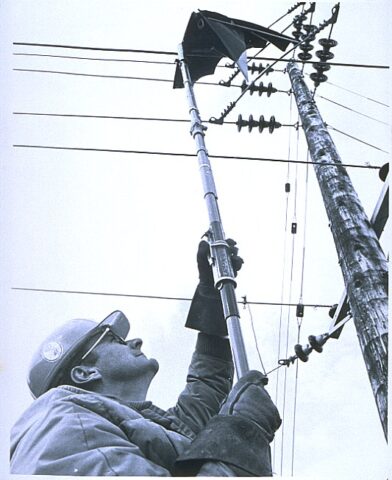 Kite In The Wires