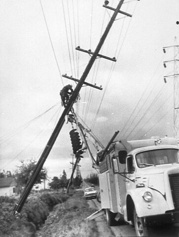 Typhoon Frieda Damage