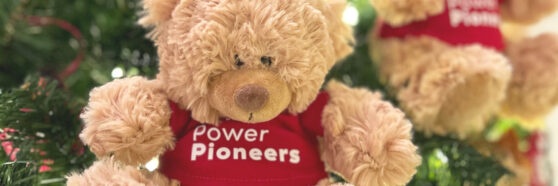 Power Pioneers teddy bear