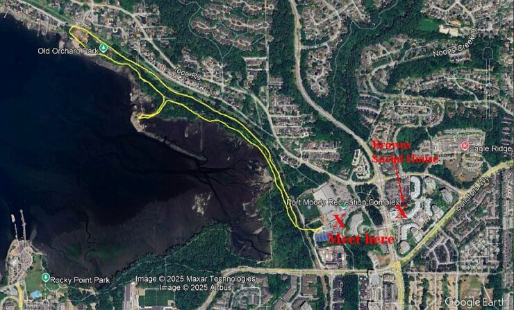 satellite view of port moody
