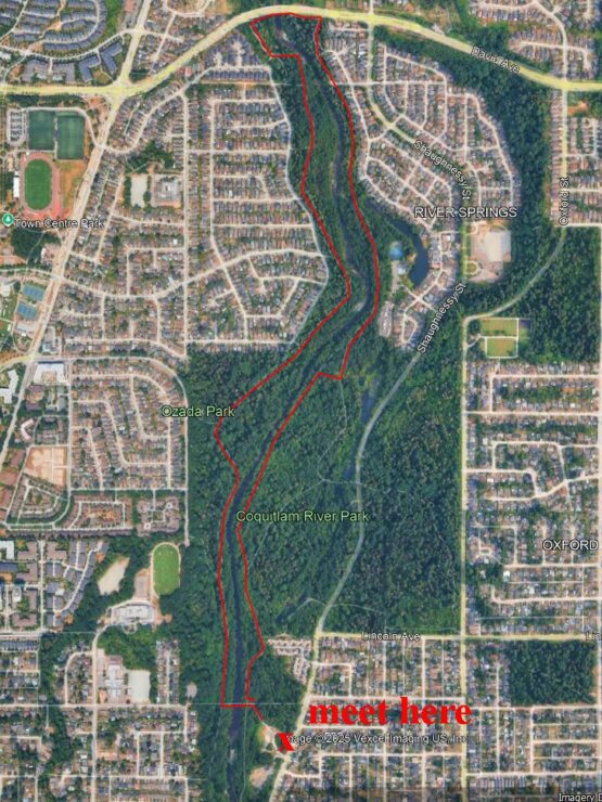 image of route of ramble